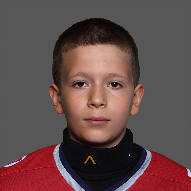 Дмитрий Стекольщиков