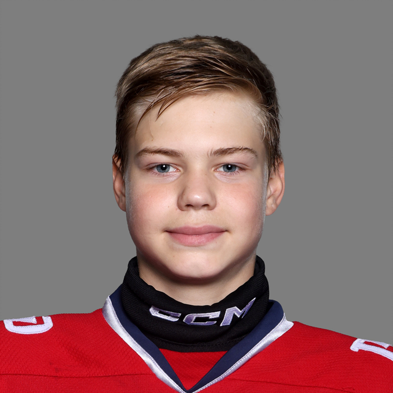 Святослав Степовик