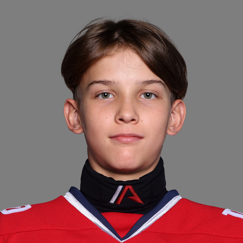 Роман Елисеев