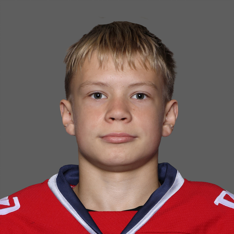 Андрей Борноволоков