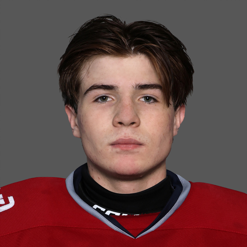 Ярослав Литке