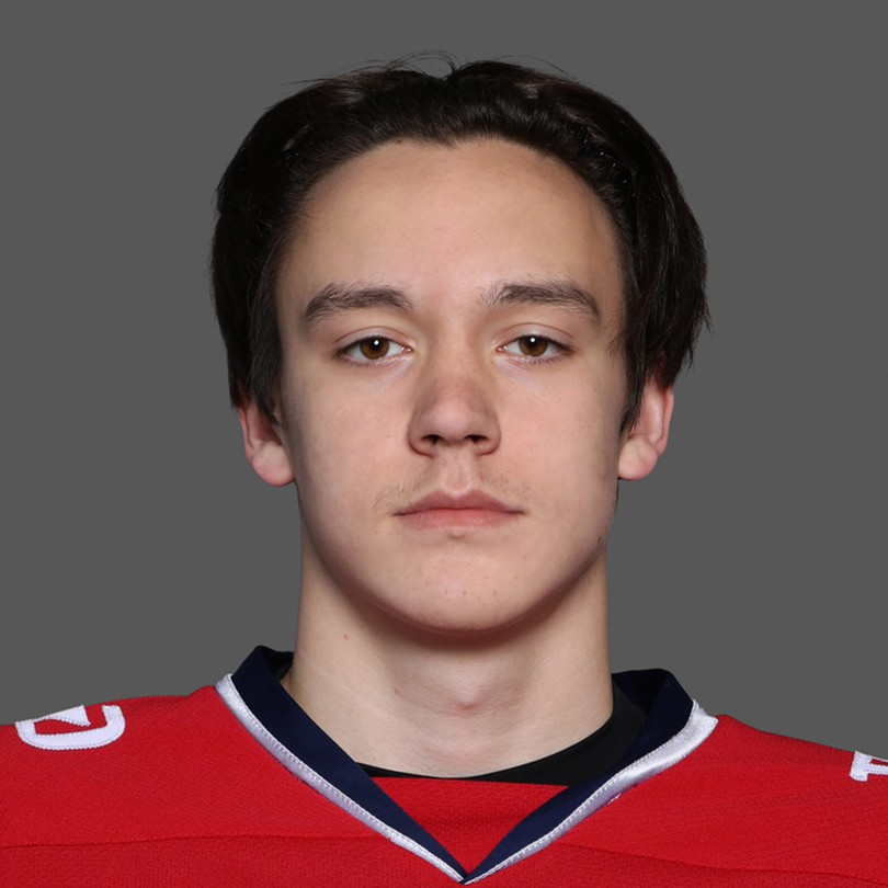 Никита Гаврилов