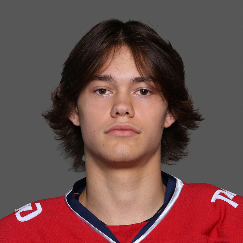 Роман Гаркуша