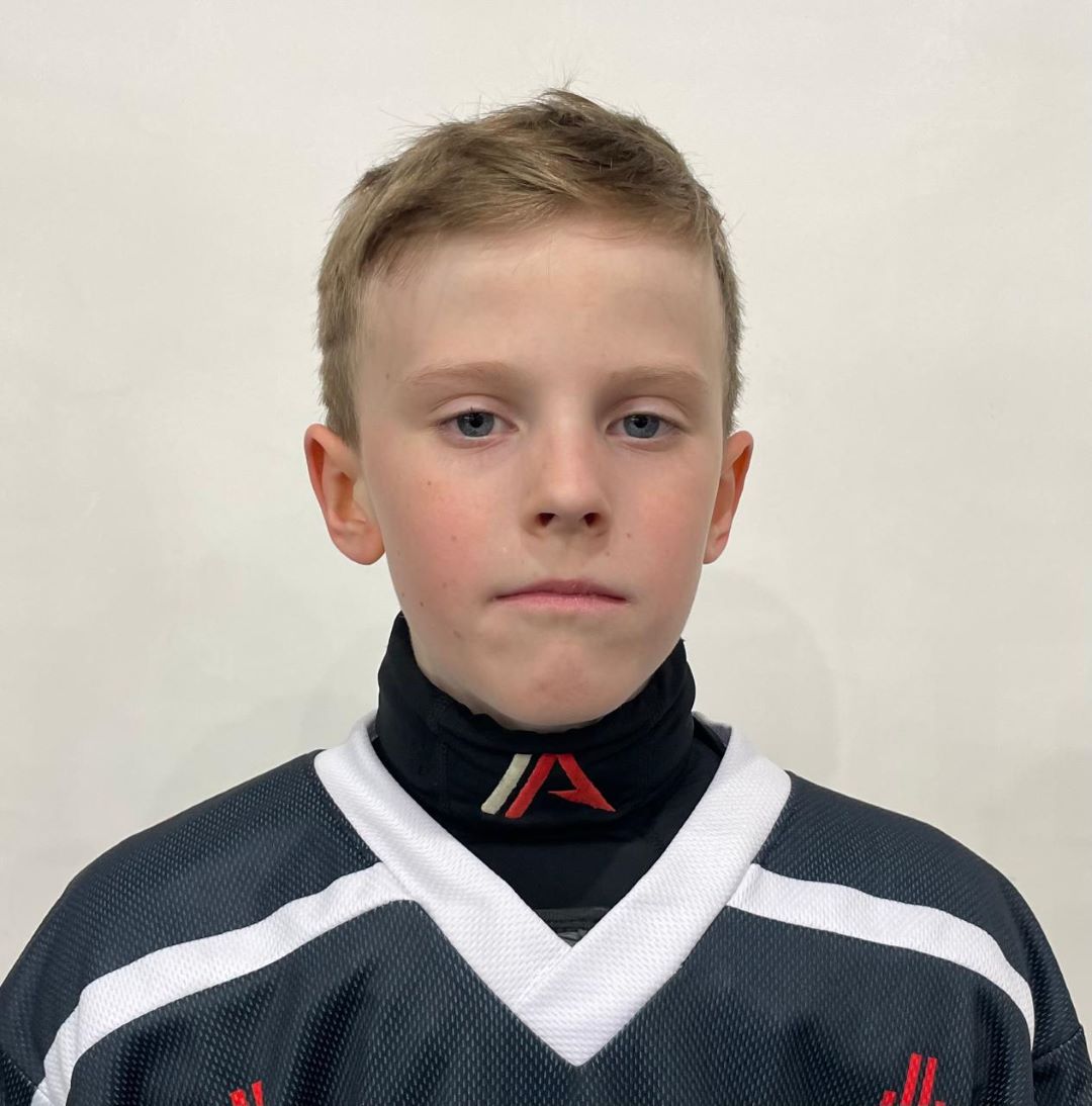 Виктор Алексеев