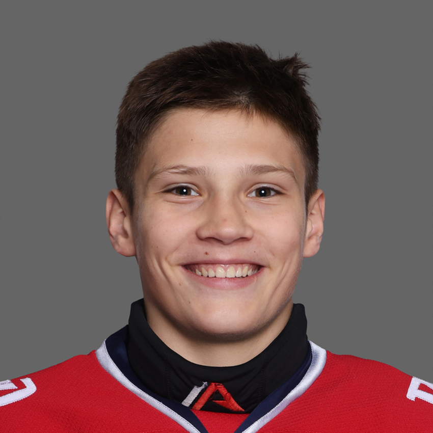 Николай Колесников