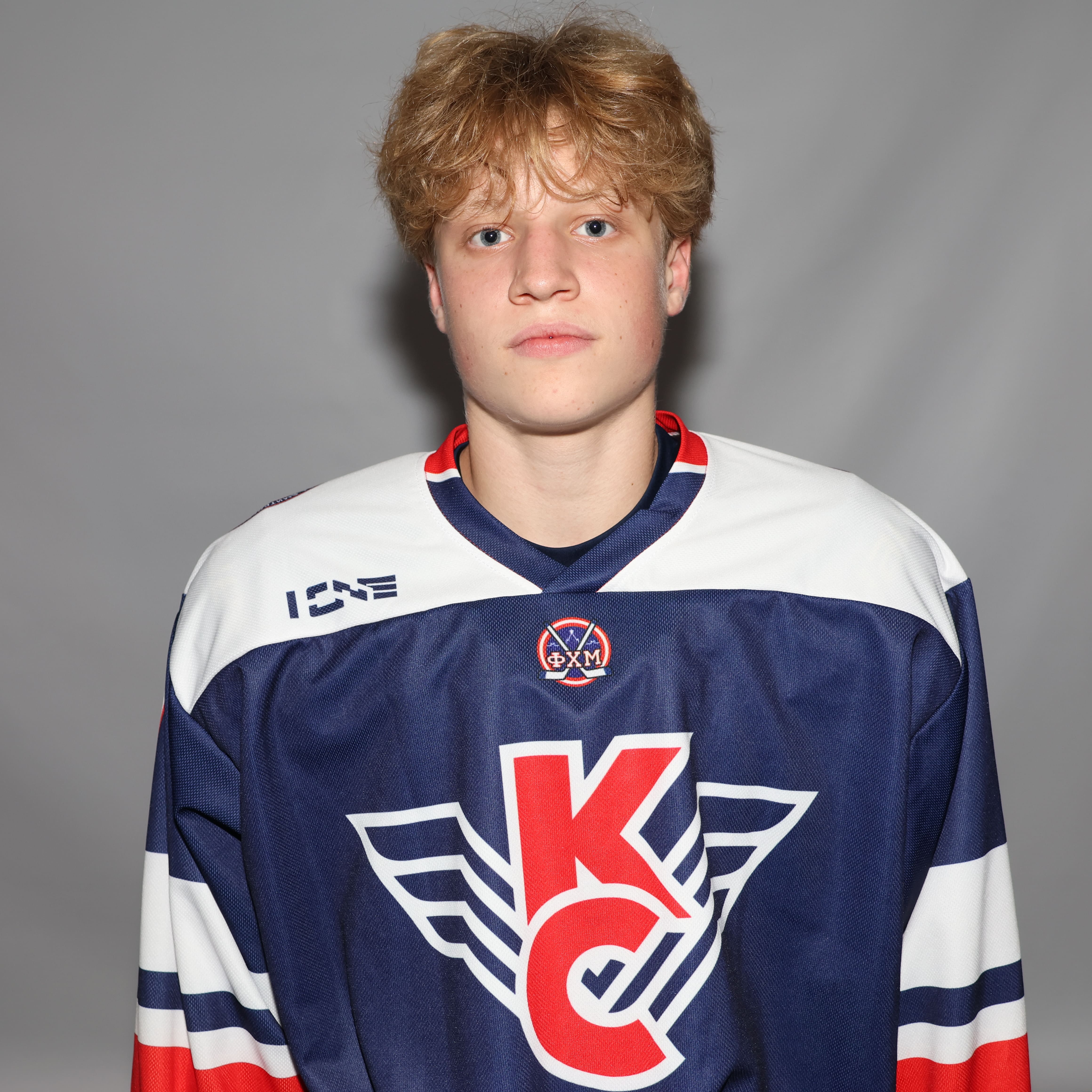 Макар Гнедин