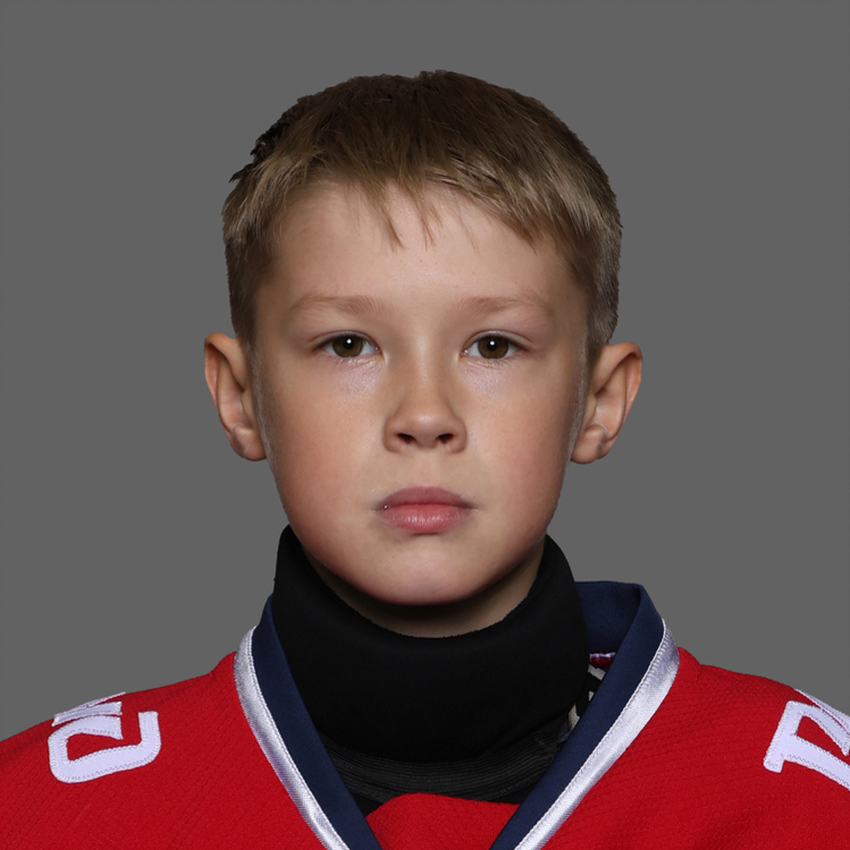 Владимир Киселев