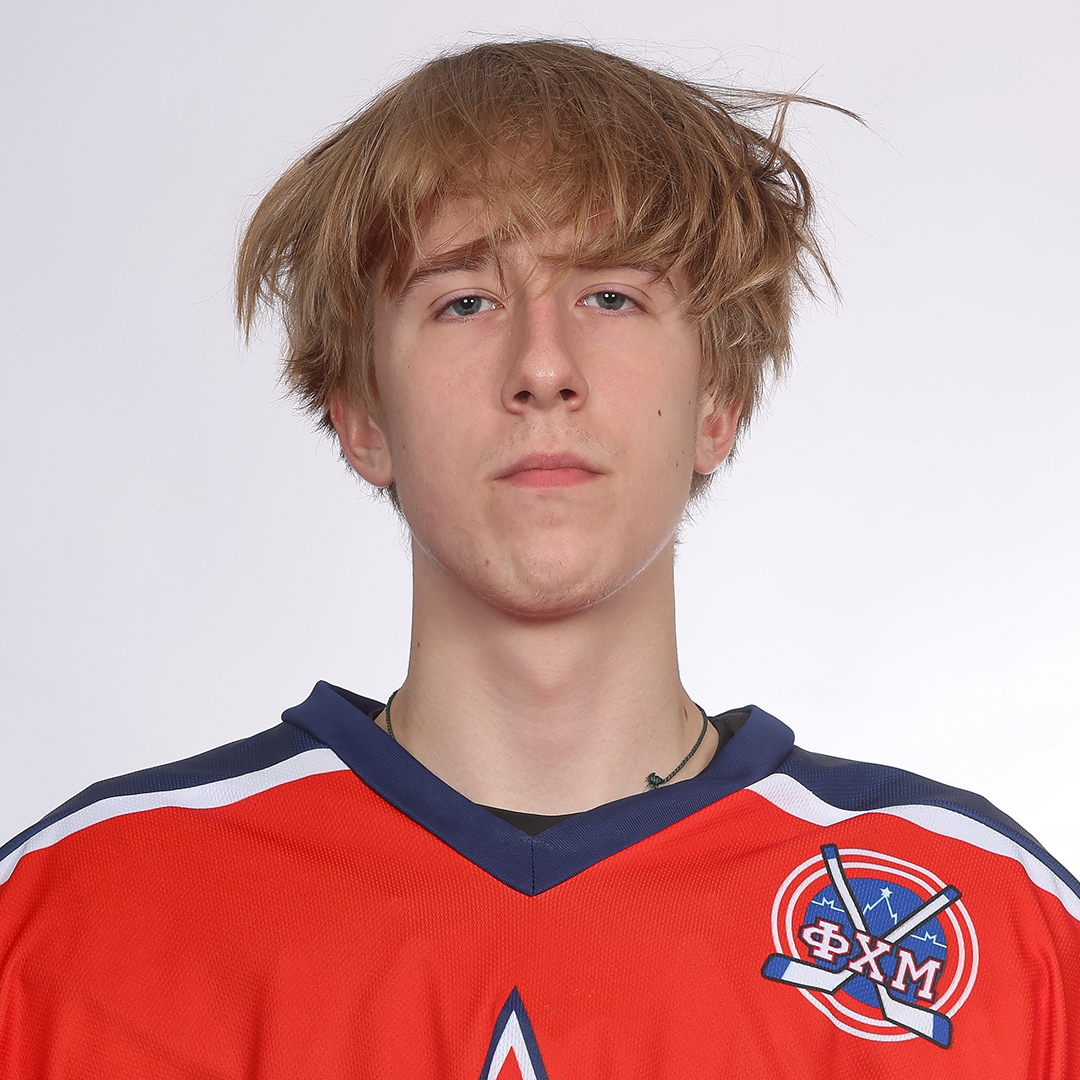 Дмитрий Николаев