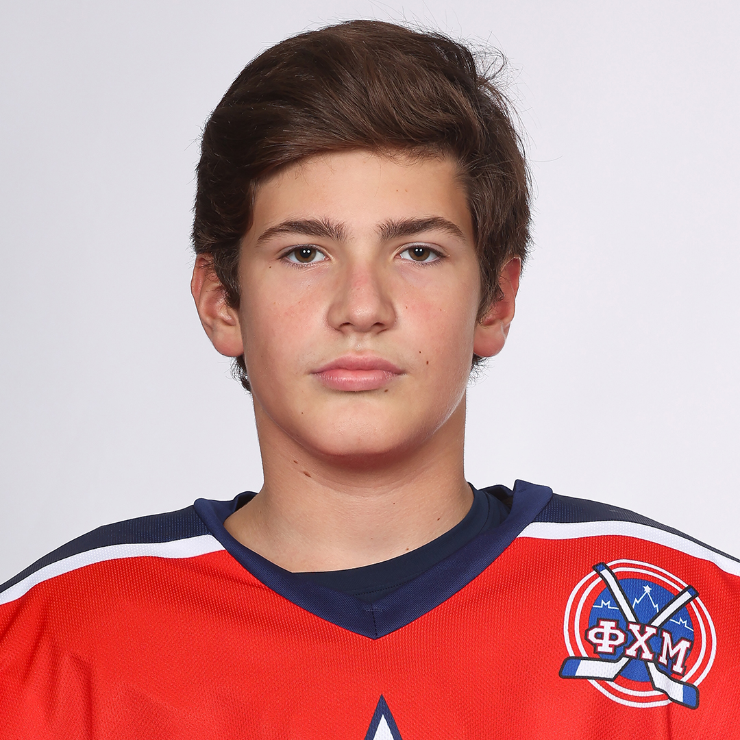 Михаил Фрейдис