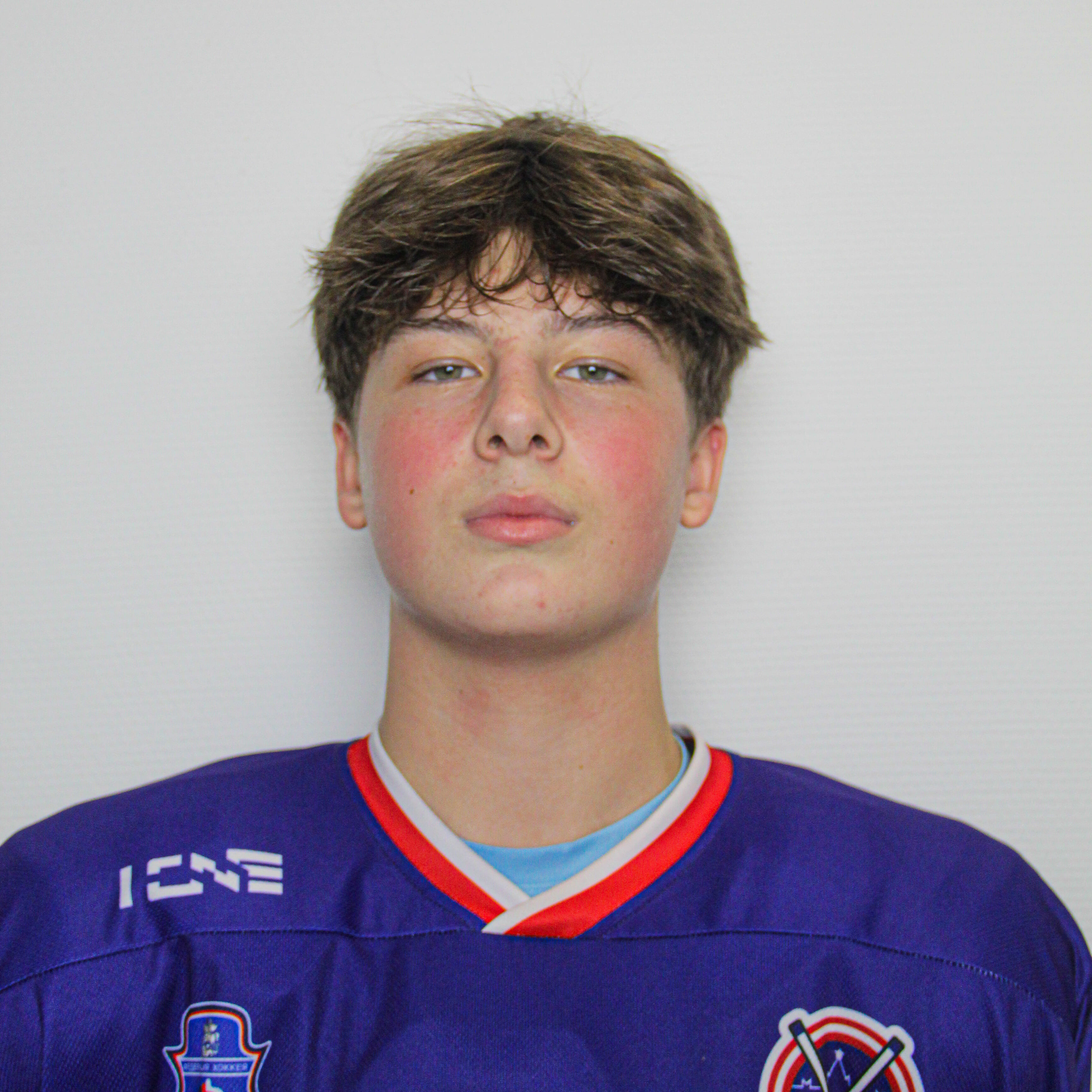 Давид-джозеф Франк