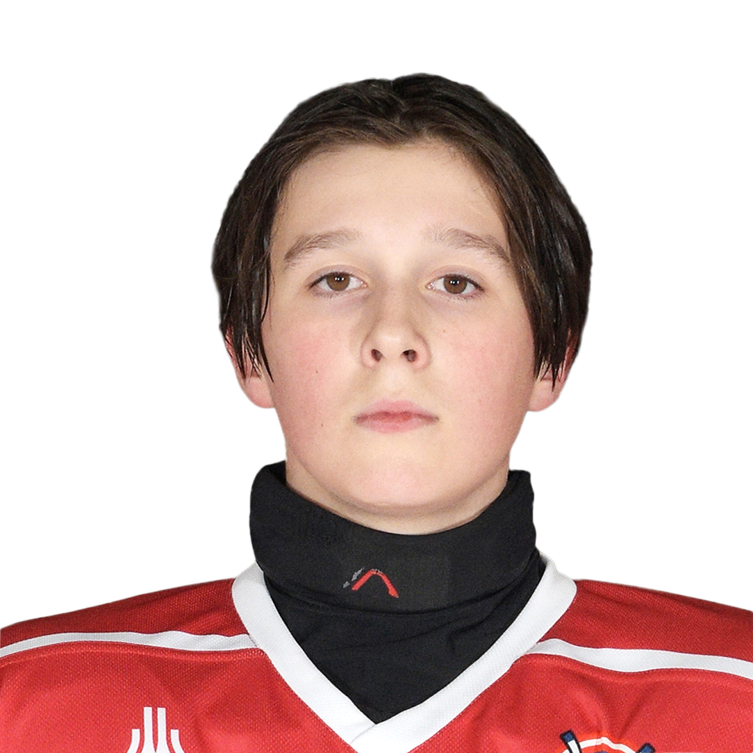 Михаил Сергеев