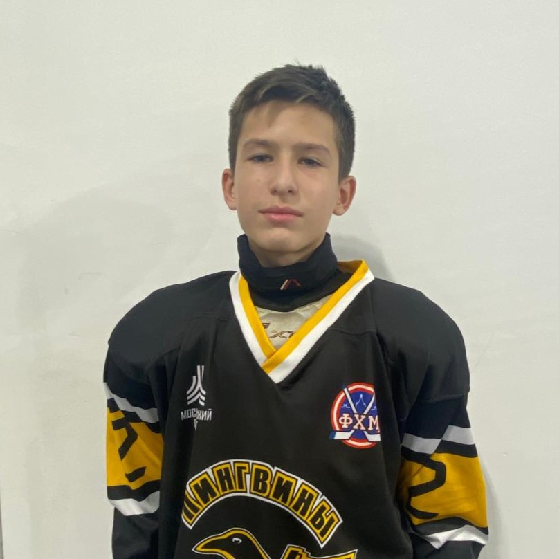 Дмитрий Поводырь