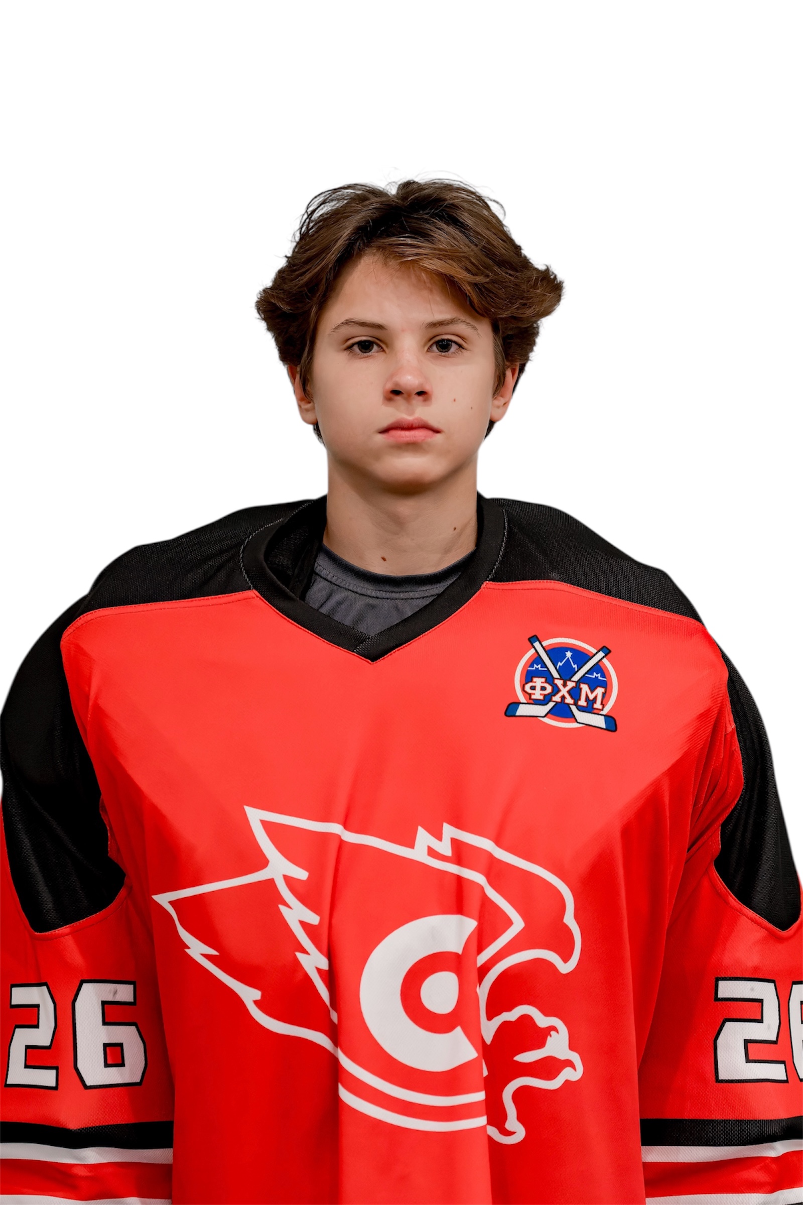 Роман Чечулин