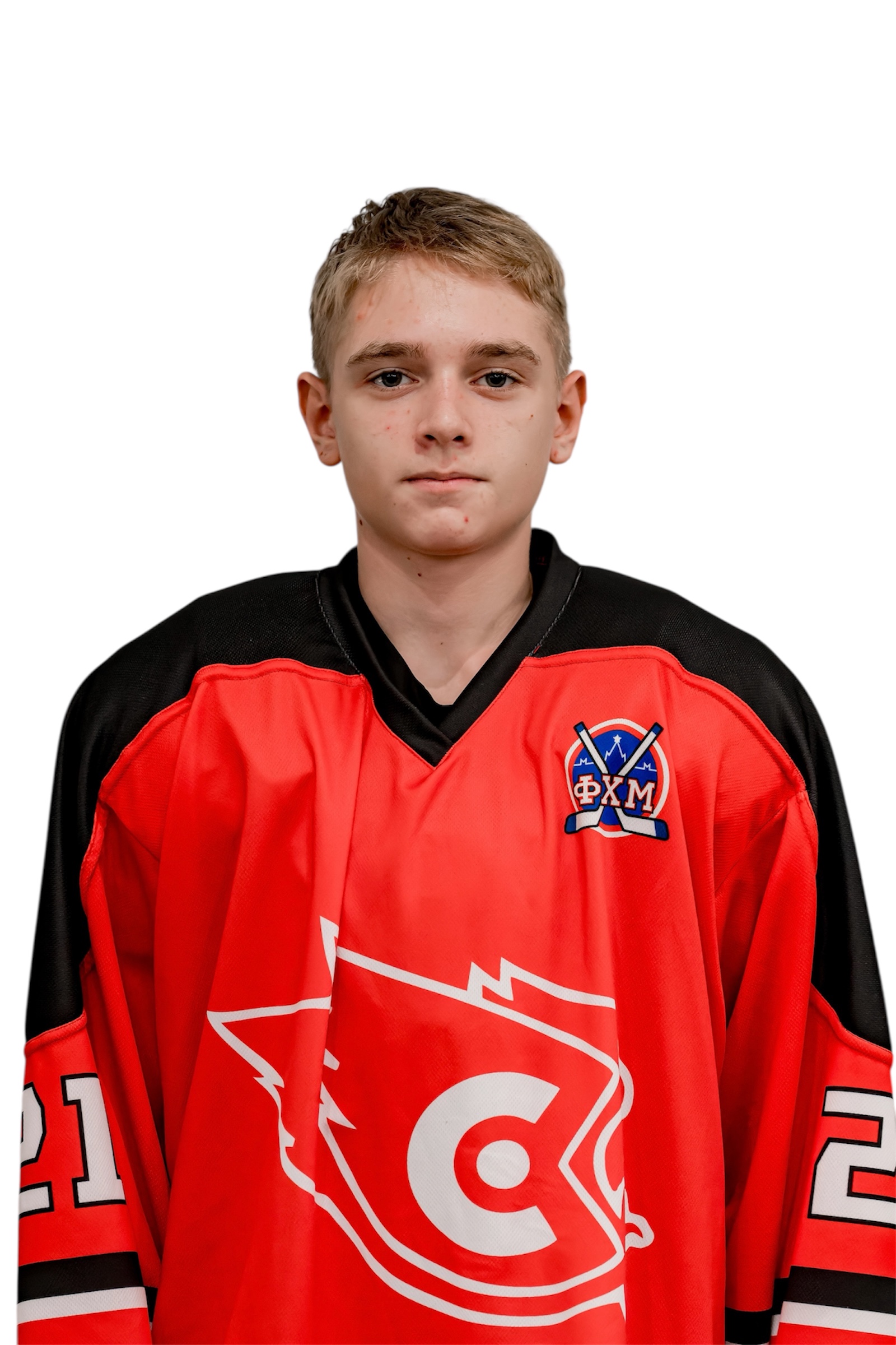 Милан Мозгов