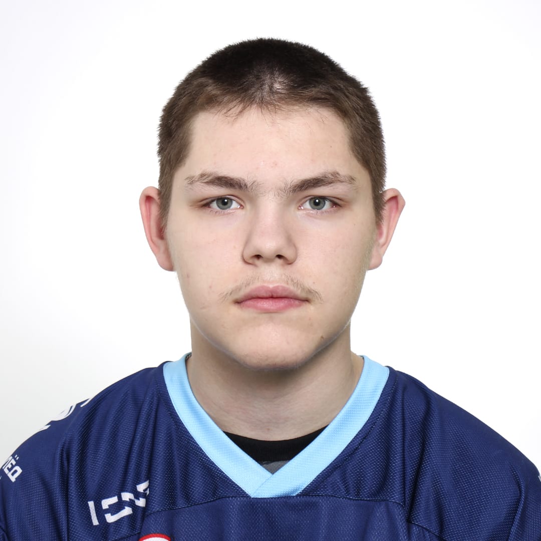 Михаил Юрьев