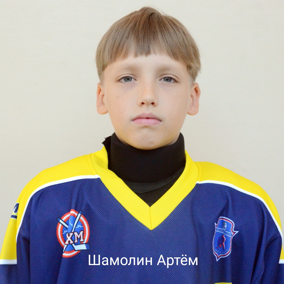 Артем Шамолин