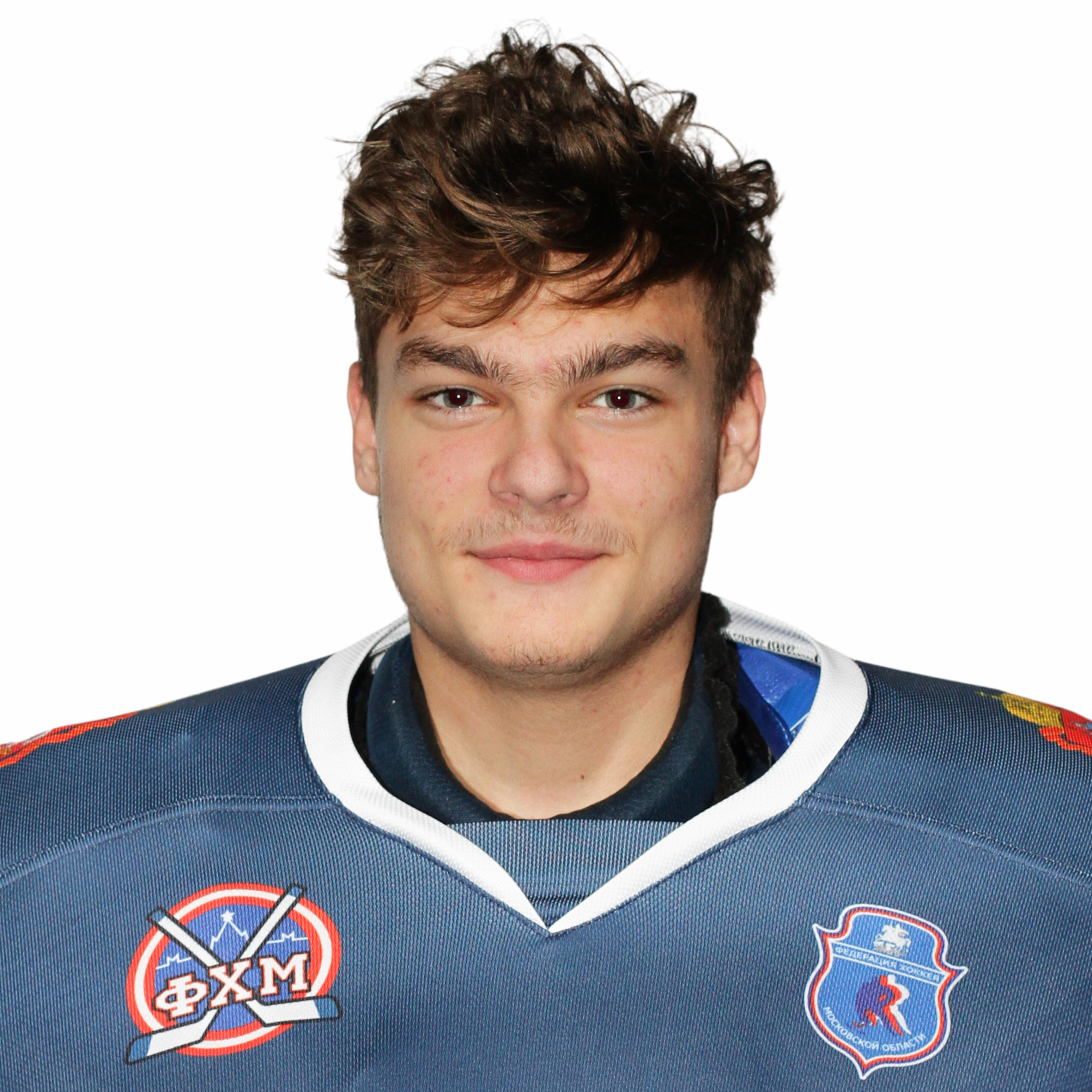 Владимир Курников