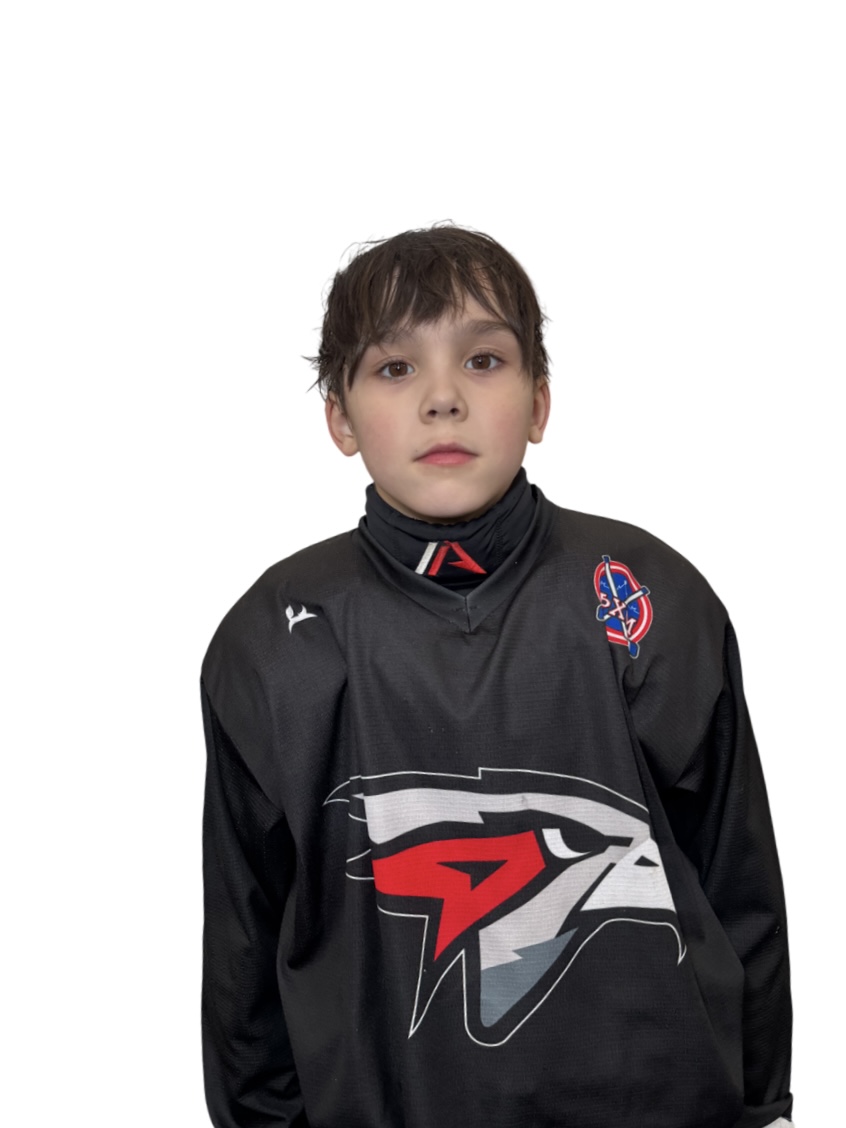 Дамир Неровных