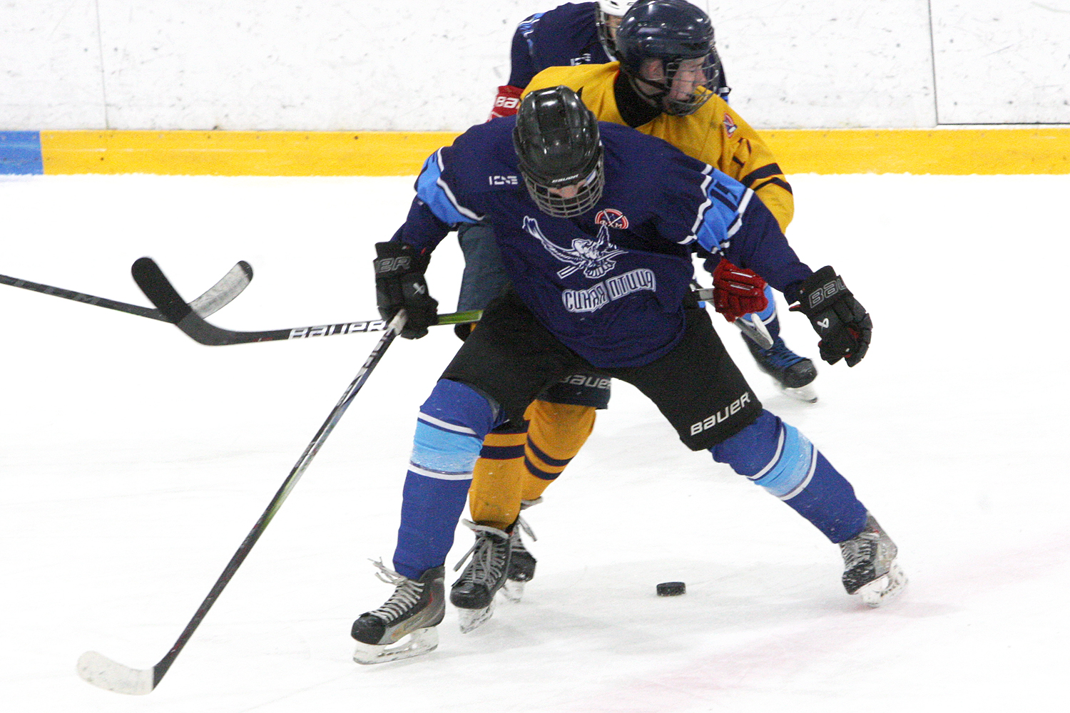 Фото: Синяя птица-2009 – Химик – 3:2 