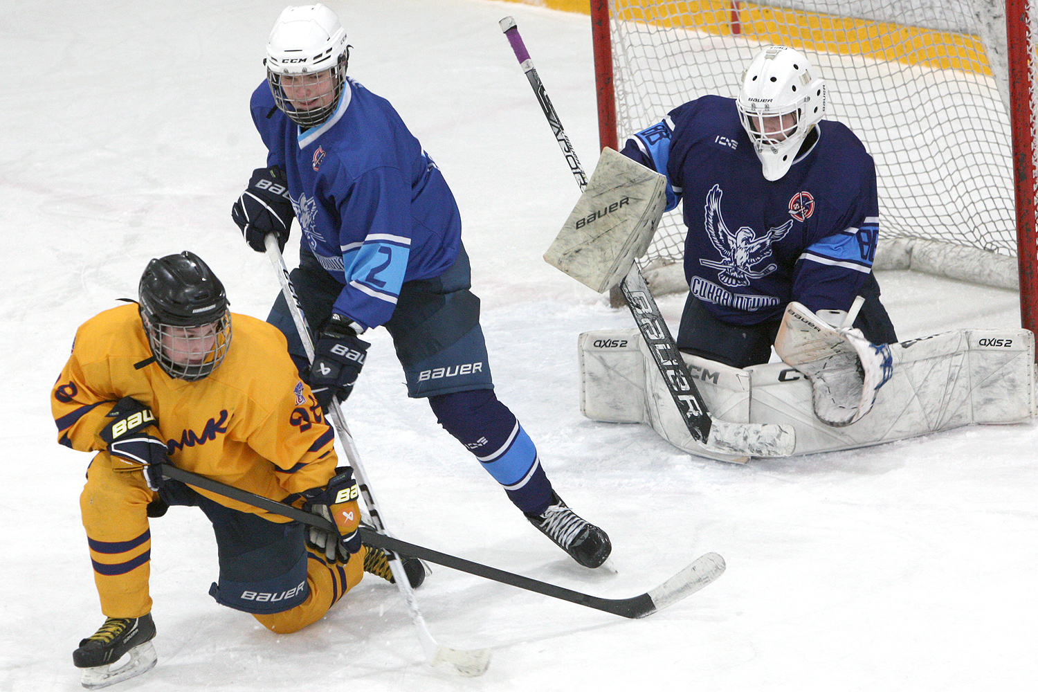 Фото: Синяя птица-2009 – Химик – 3:2 