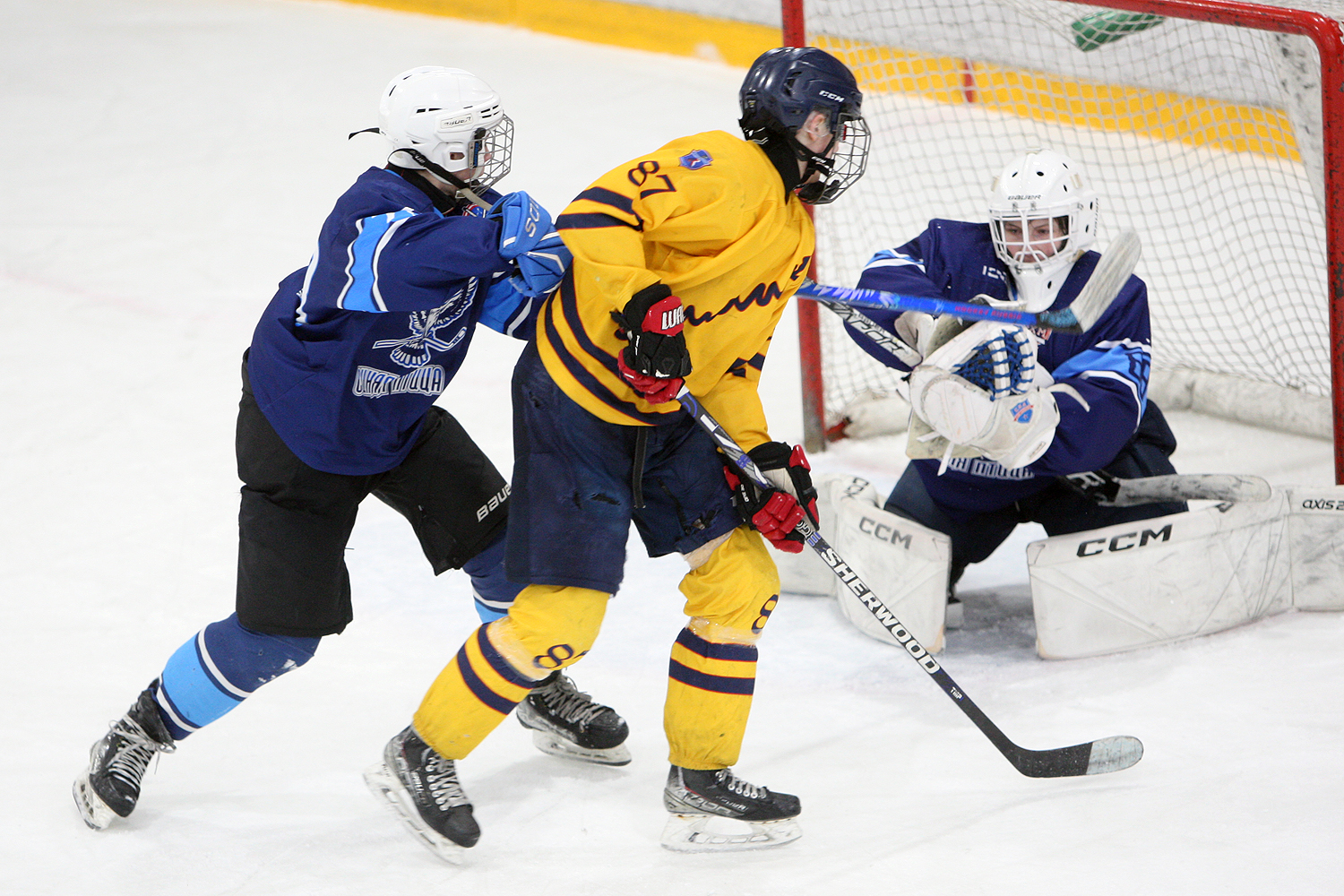 Фото: Синяя птица-2009 – Химик – 3:2 