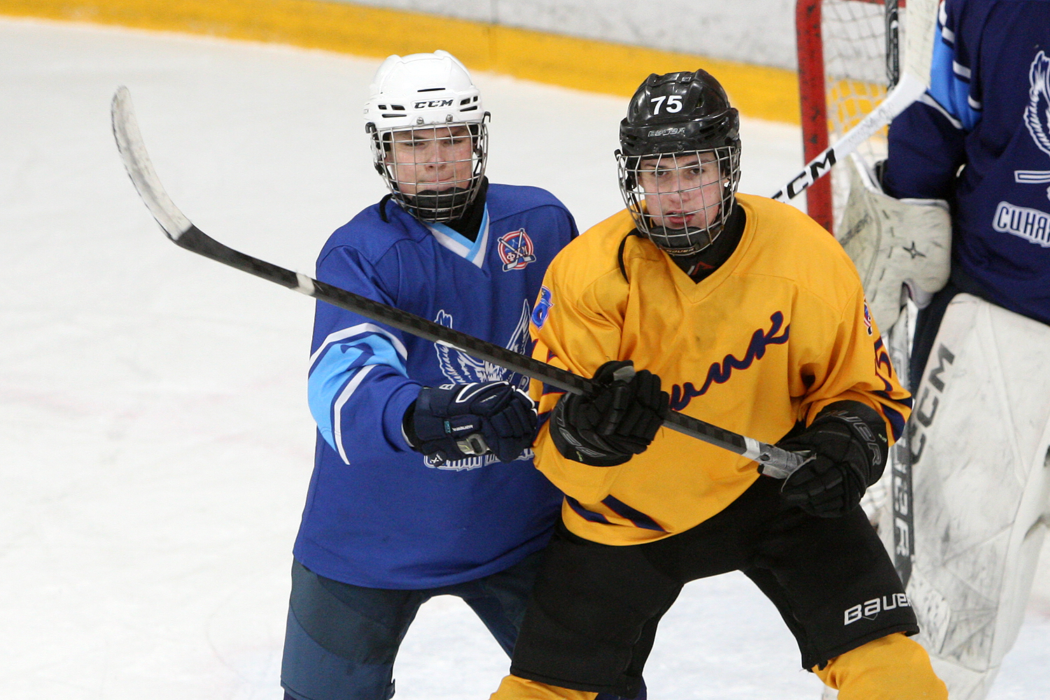 Фото: Синяя птица-2009 – Химик – 3:2 