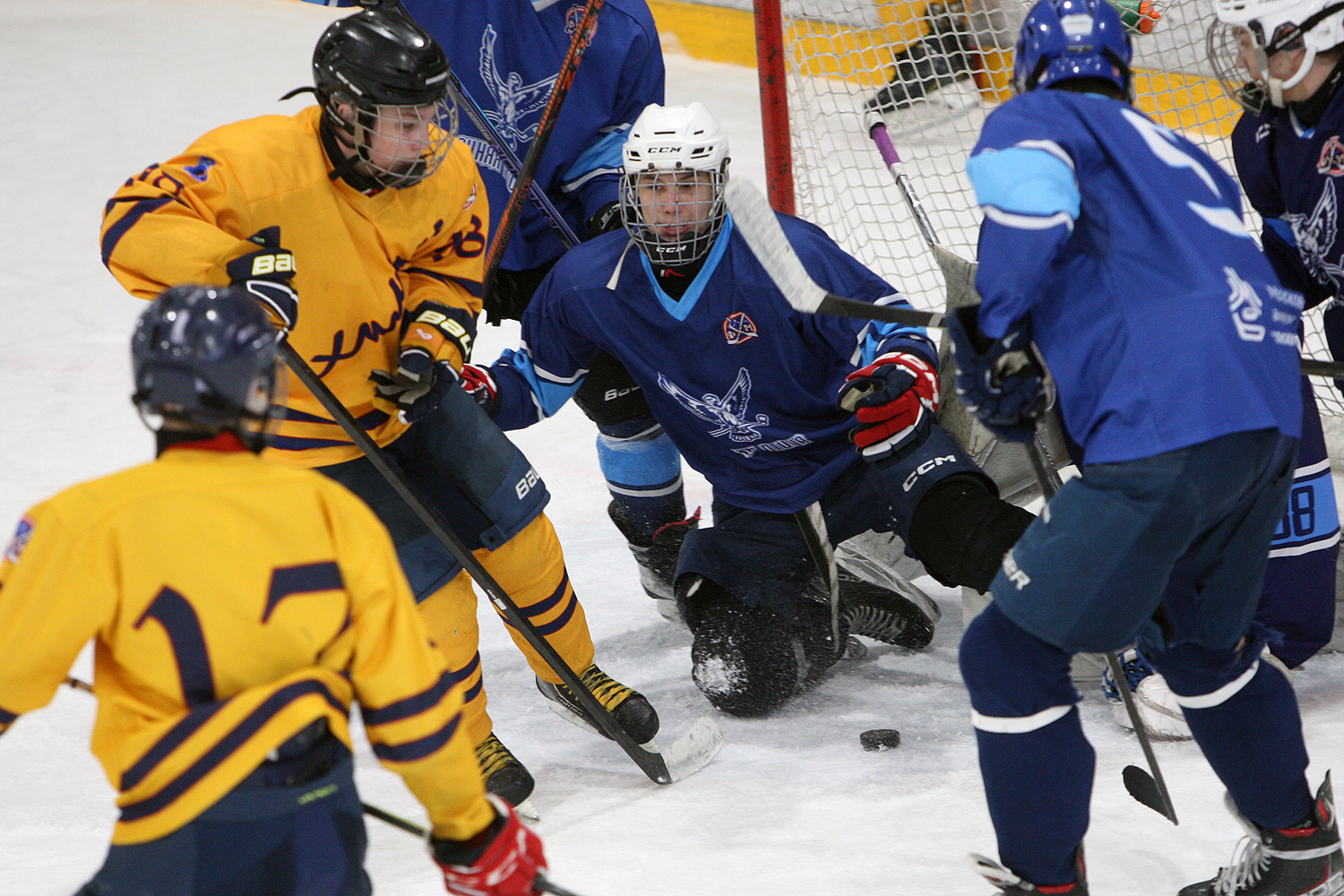 Фото: Синяя птица-2009 – Химик – 3:2 