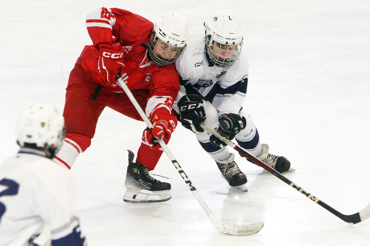 Фото: МАХ-2011 – Белые медведи – 8:3