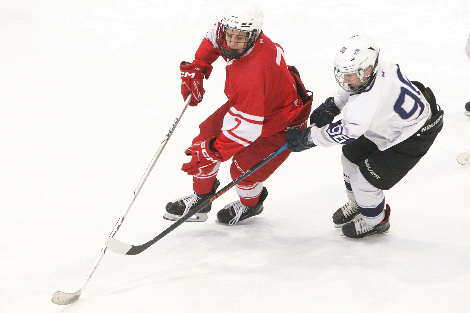 Фото: МАХ-2011 – Белые медведи – 8:3