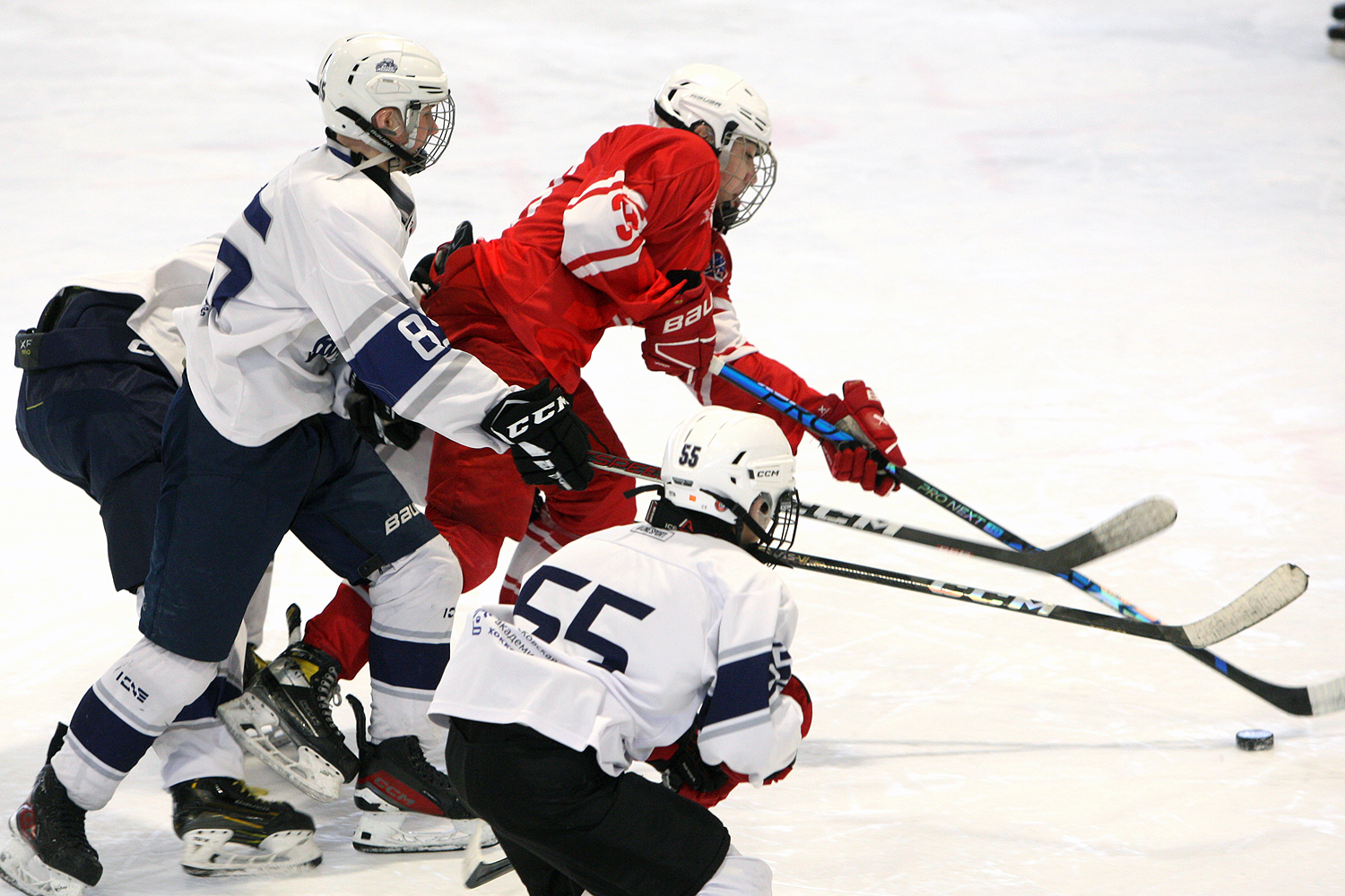 Фото: МАХ-2011 – Белые медведи – 8:3