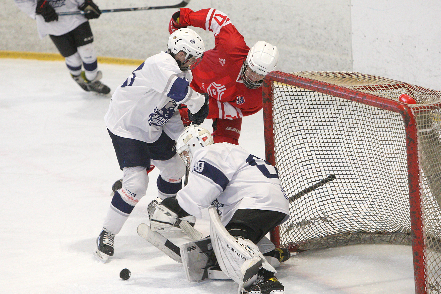 Фото: МАХ-2011 – Белые медведи – 8:3