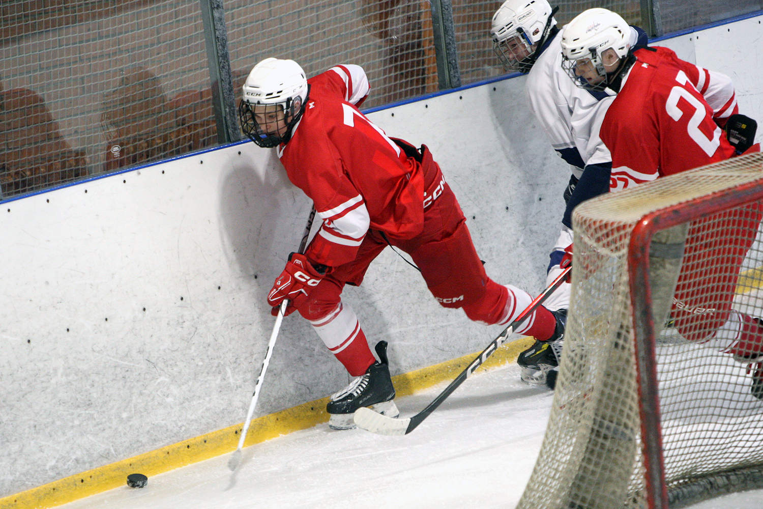 Фото: МАХ-2011 – Белые медведи – 8:3