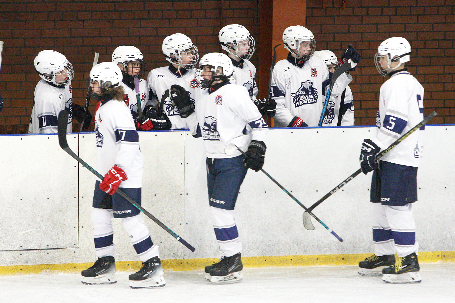 Фото: МАХ-2011 – Белые медведи – 8:3