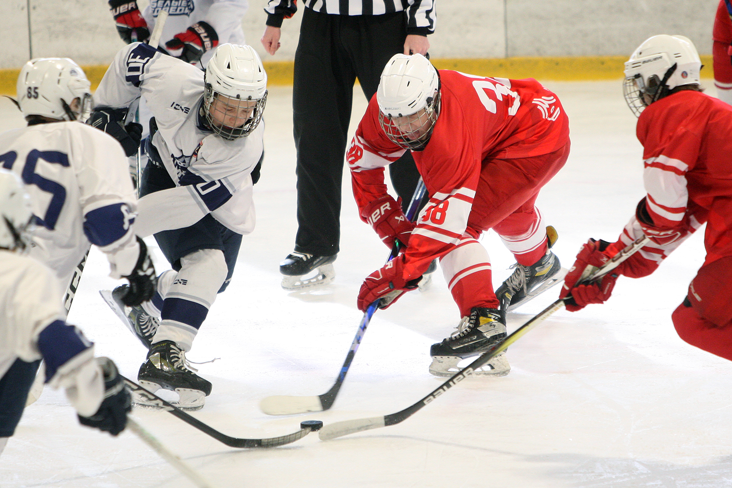 Фото: МАХ-2011 – Белые медведи – 8:3