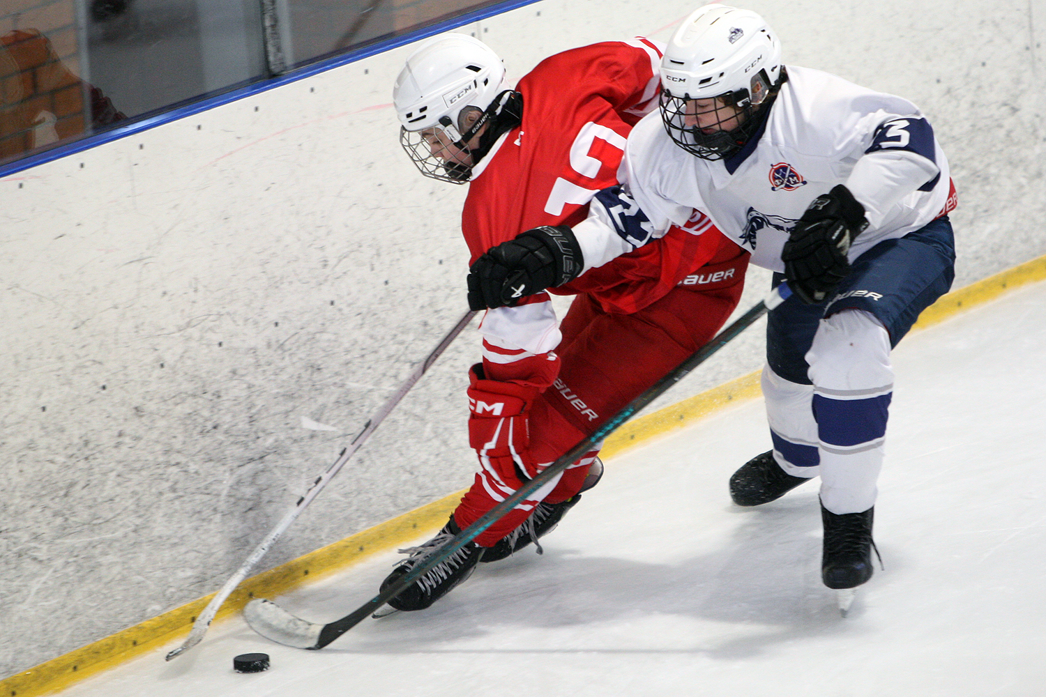 Фото: МАХ-2011 – Белые медведи – 8:3