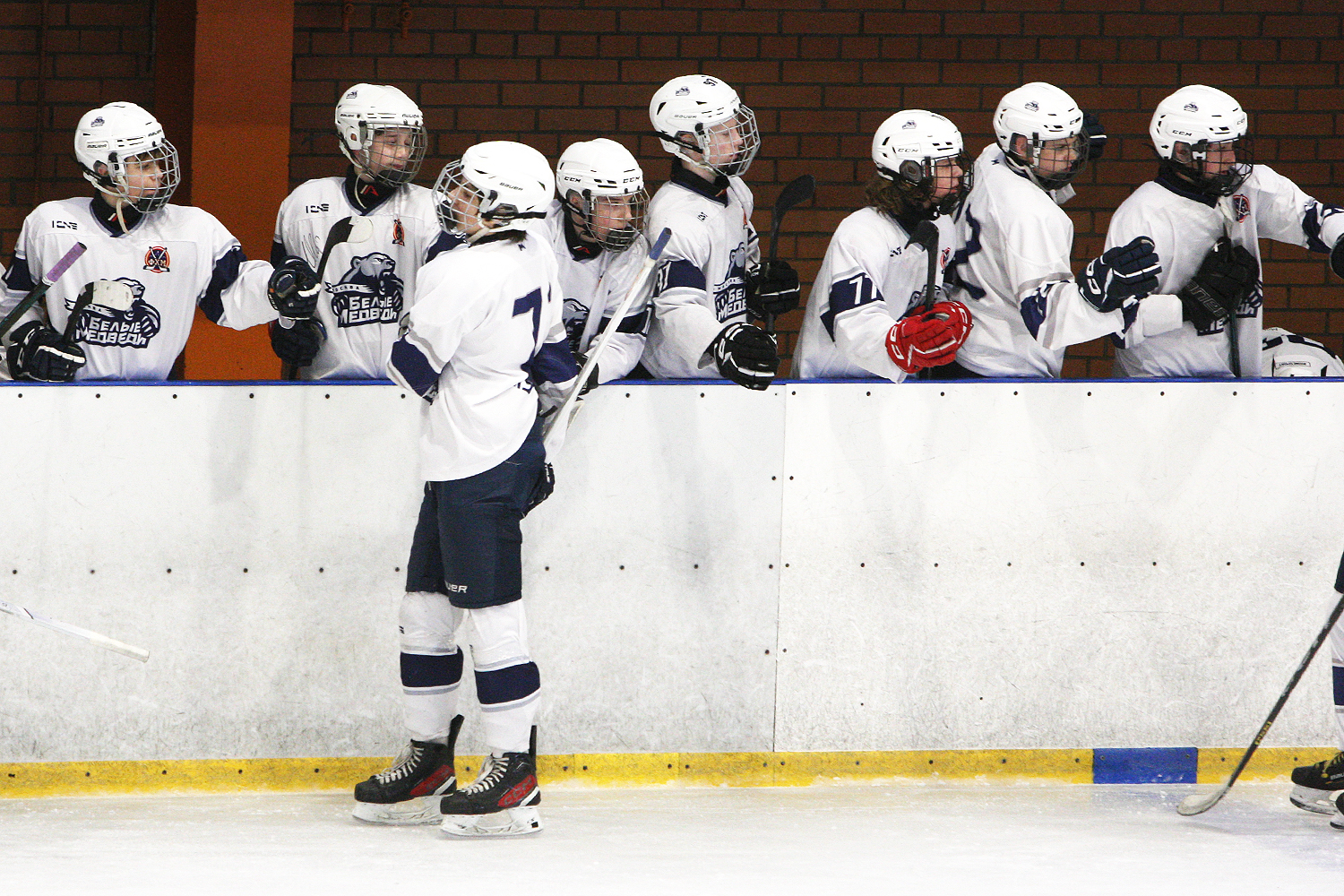 Фото: МАХ-2011 – Белые медведи – 8:3