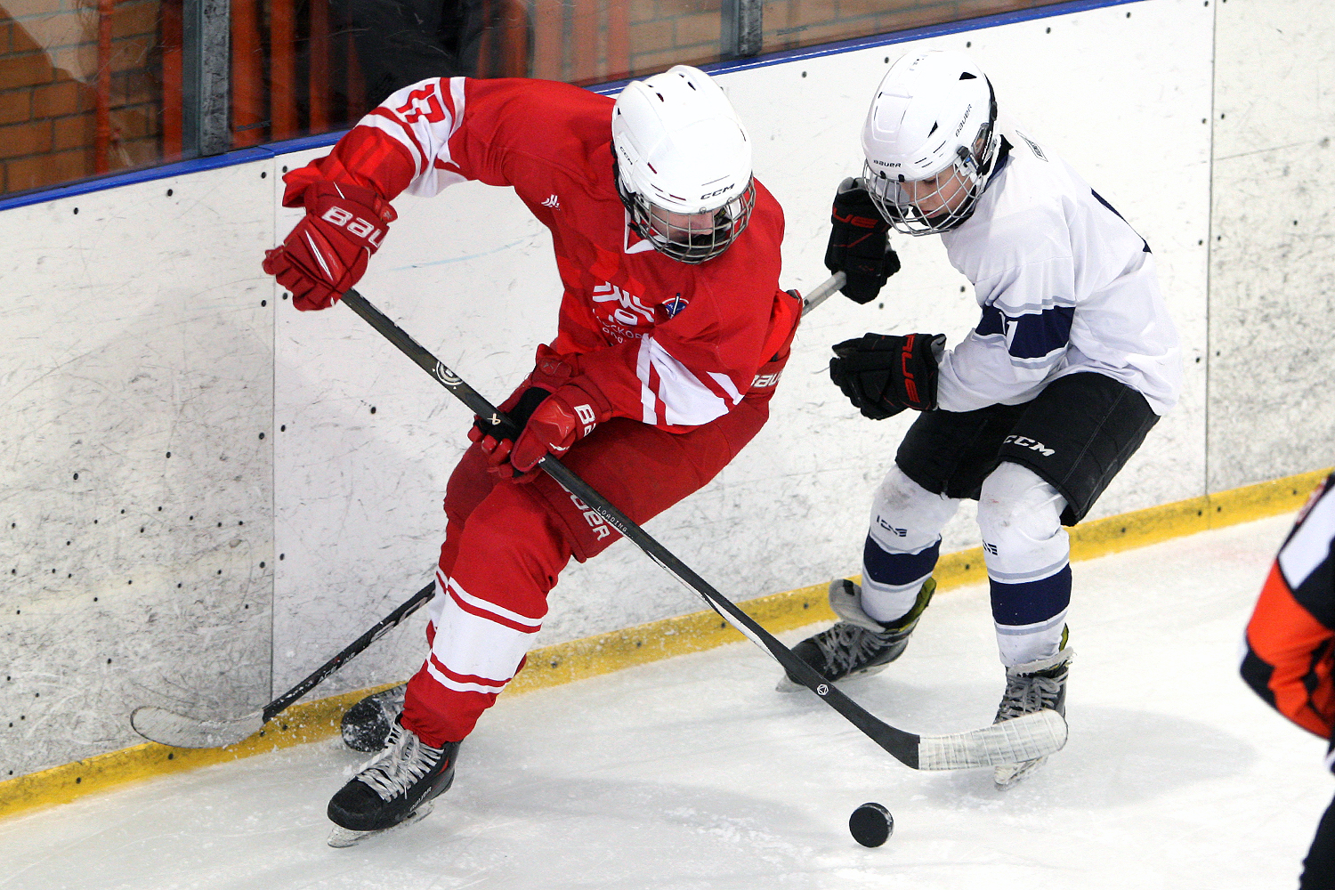 Фото: МАХ-2011 – Белые медведи – 8:3