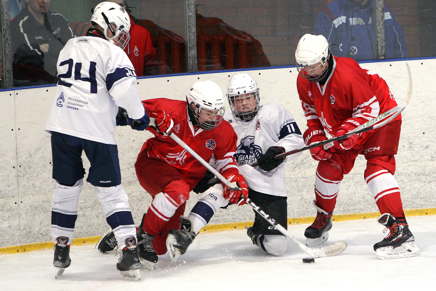Фото: МАХ-2011 – Белые медведи – 8:3