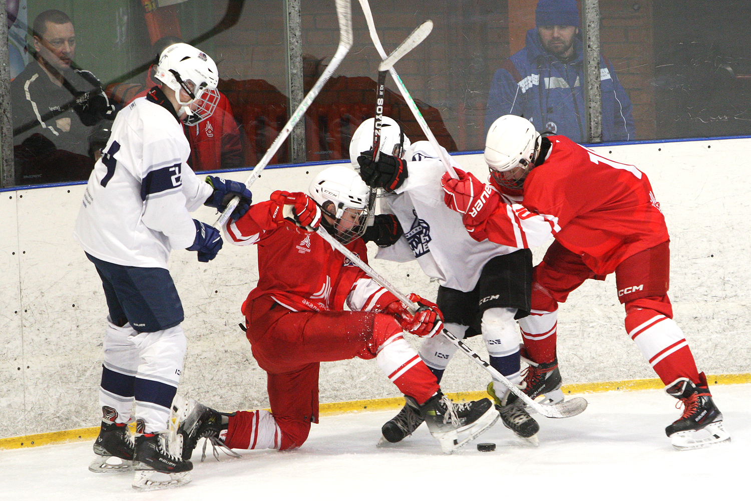 Фото: МАХ-2011 – Белые медведи – 8:3