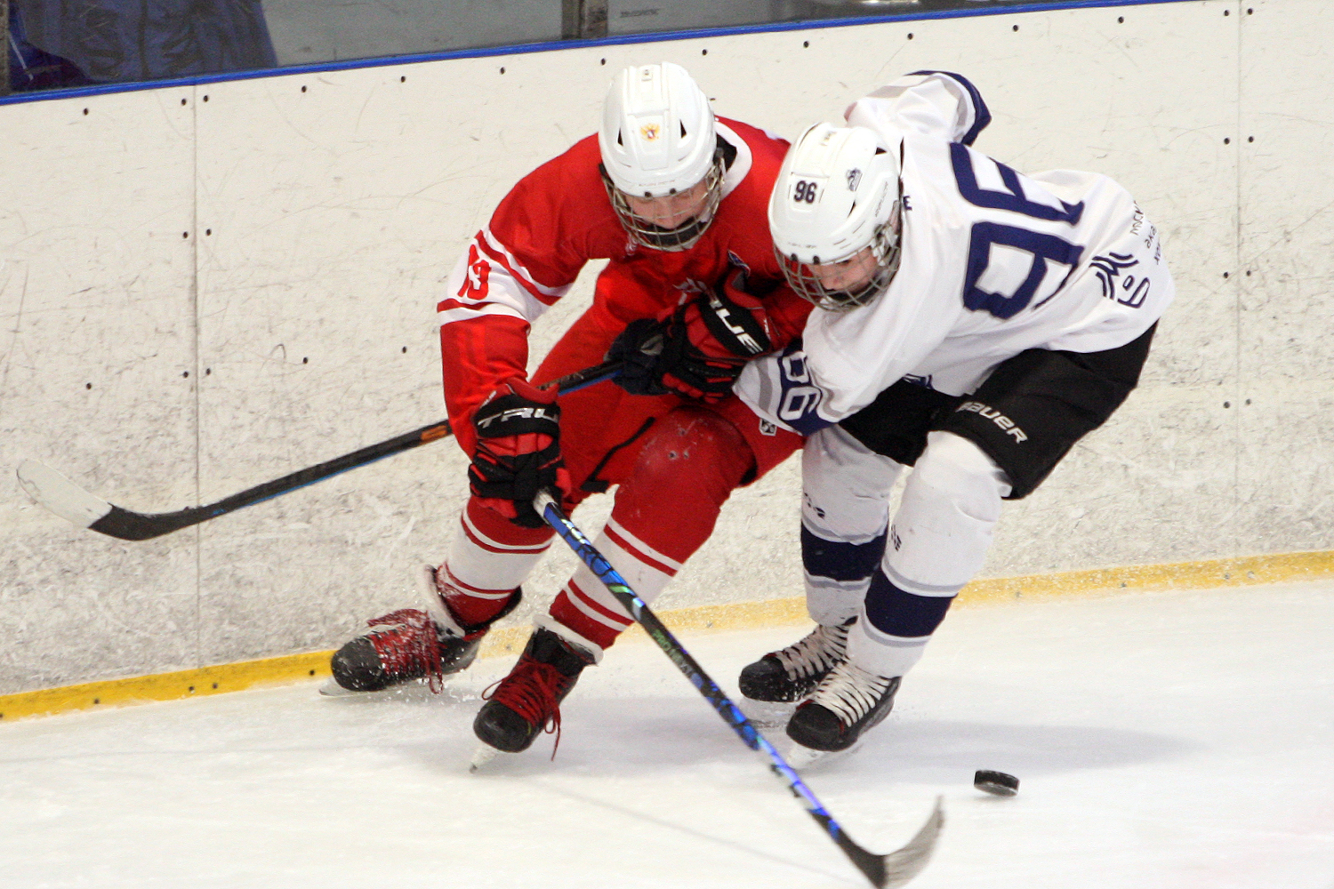 Фото: МАХ-2011 – Белые медведи – 8:3