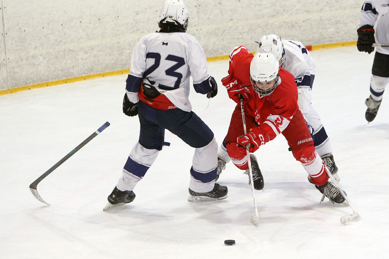 Фото: МАХ-2011 – Белые медведи – 8:3