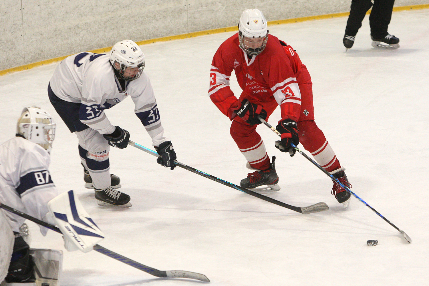 Фото: МАХ-2011 – Белые медведи – 8:3