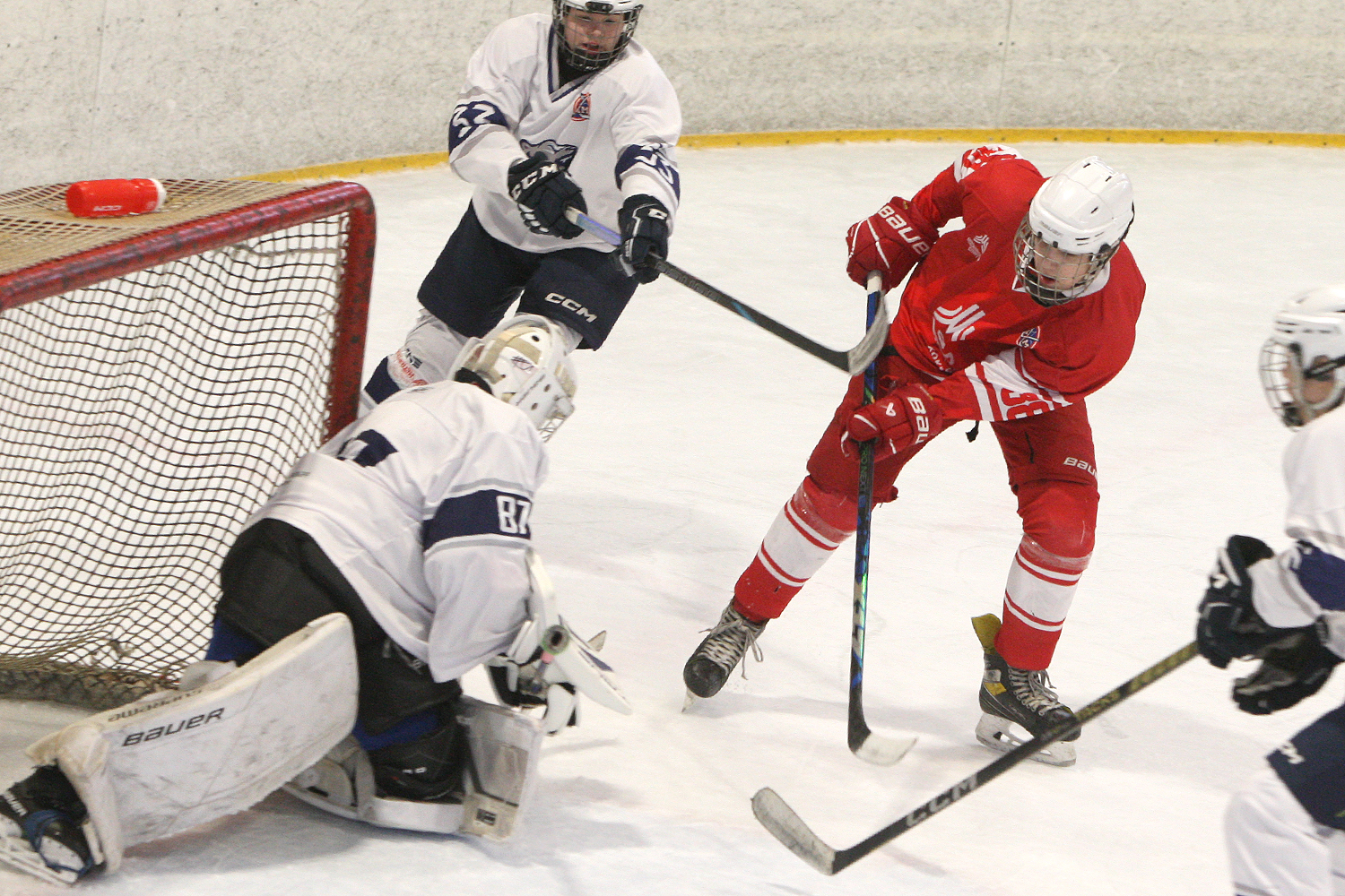 Фото: МАХ-2011 – Белые медведи – 8:3