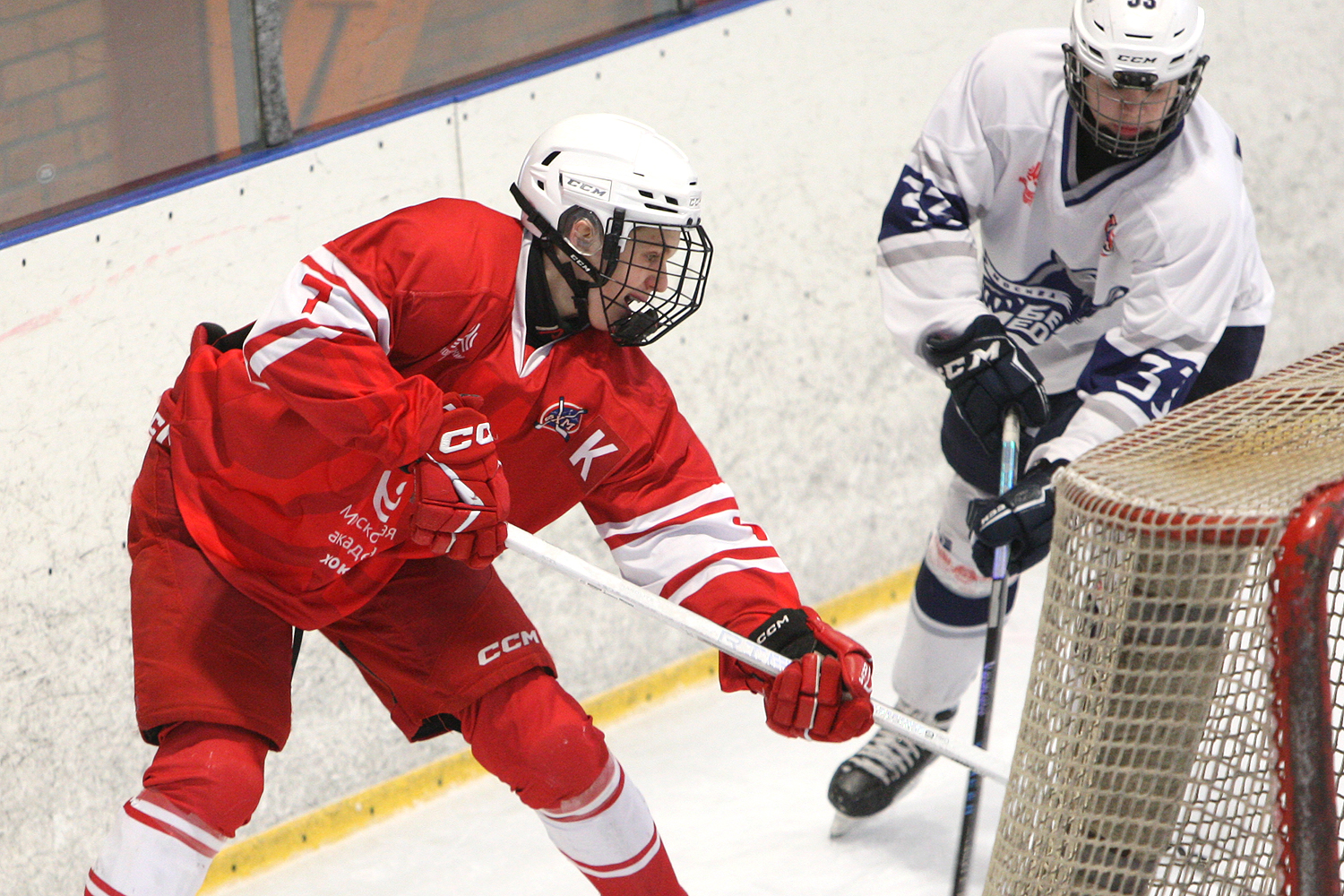 Фото: МАХ-2011 – Белые медведи – 8:3