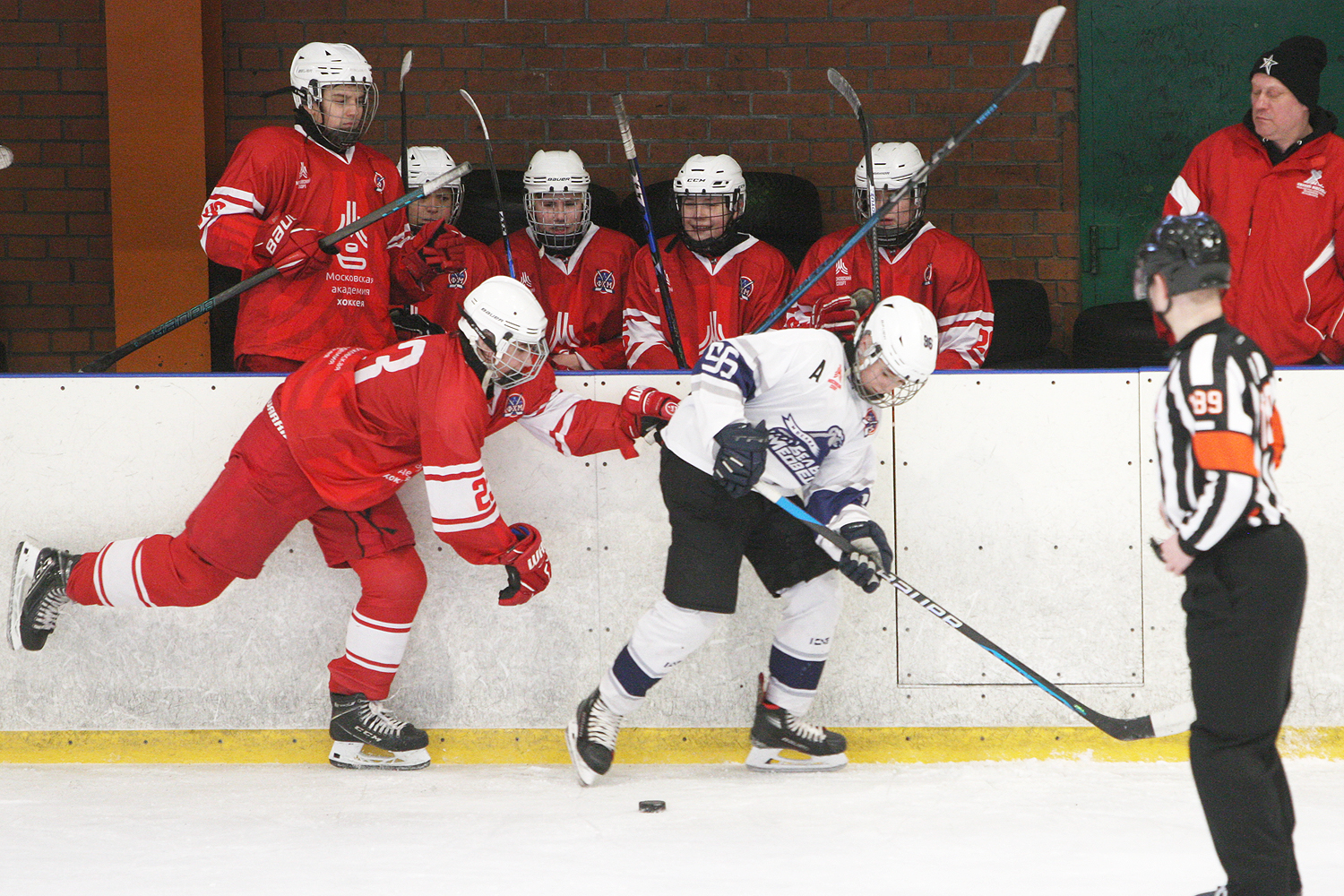 Фото: МАХ-2011 – Белые медведи – 8:3