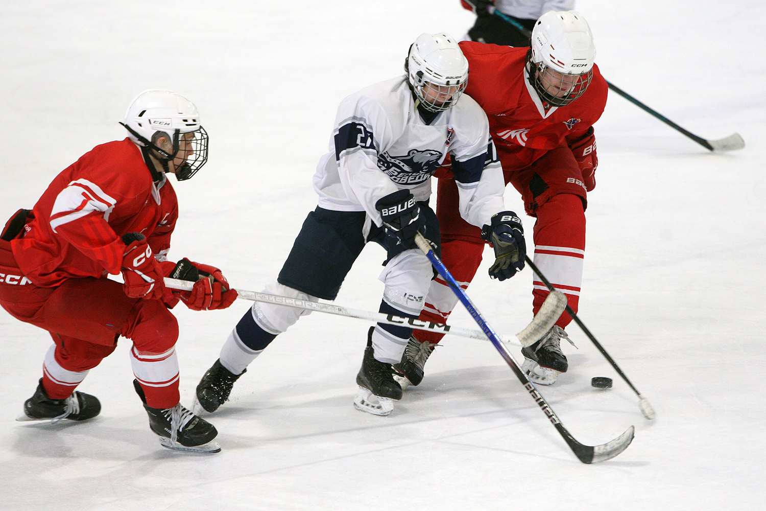 Фото: МАХ-2011 – Белые медведи – 8:3