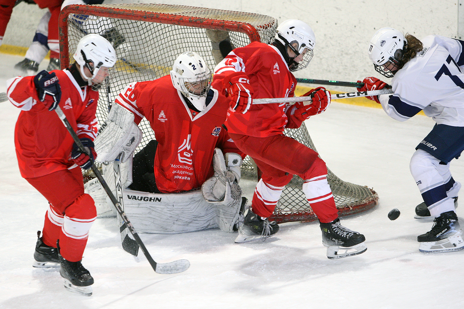 Фото: МАХ-2011 – Белые медведи – 8:3