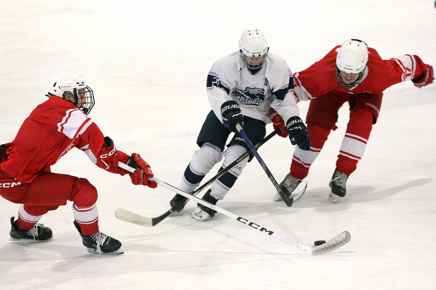 Фото: МАХ-2011 – Белые медведи – 8:3