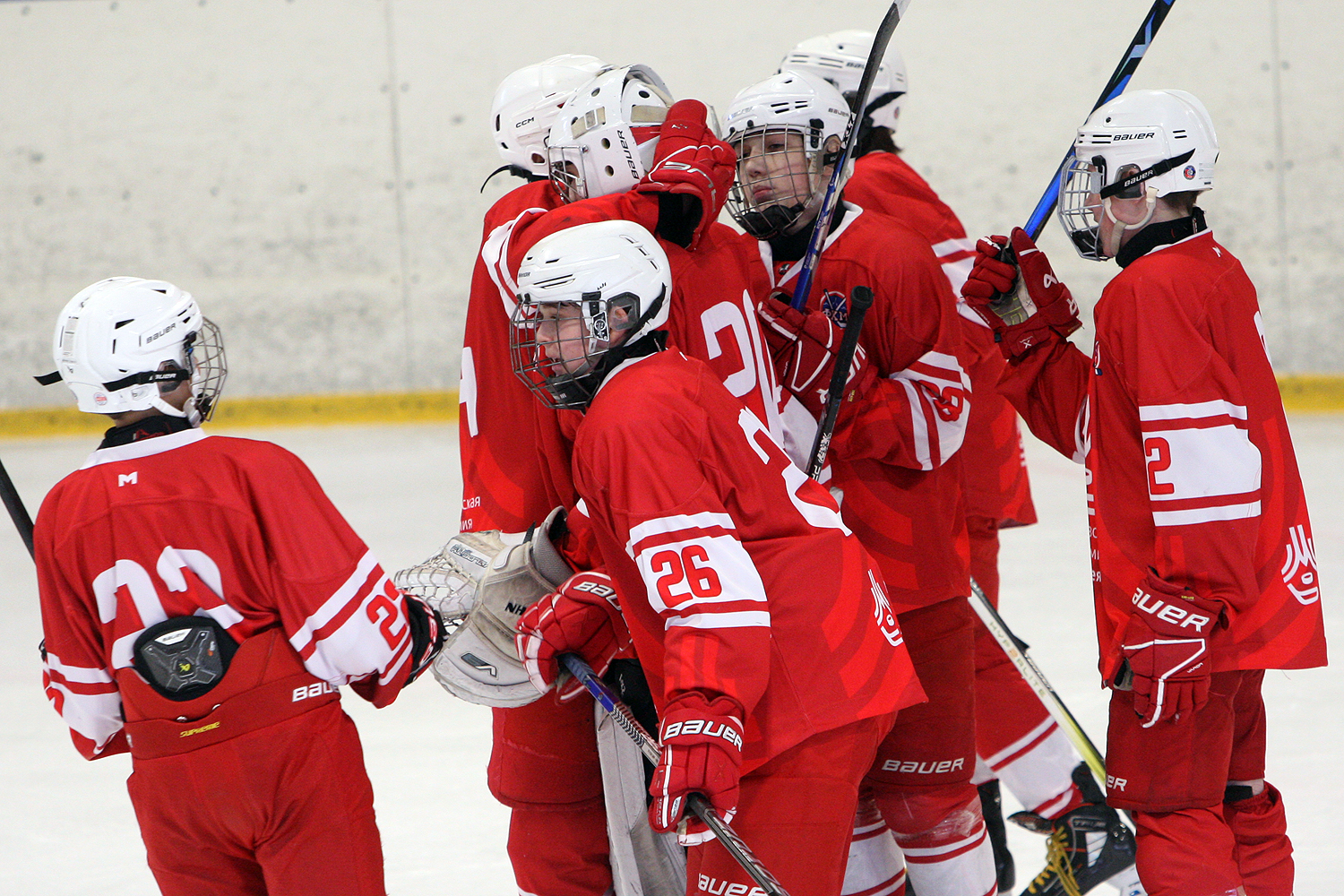 Фото: МАХ-2011 – Белые медведи – 8:3