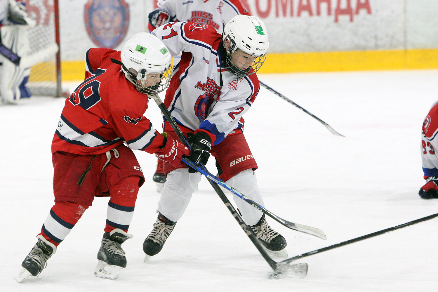 Фото: Витязь-2015 – Русь – 16:16 